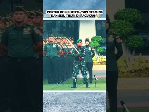 PRESTASI SEGUDANG, KARIR CEMERLANG🔥 #tni #komando #tentara #beritaterkini #viralshort #army #tniad