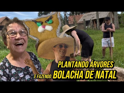 30/11/24 - DIA DE FICAR COM A VÓ plantando árvores e fazendo bolacha de Natal 🎄🤶