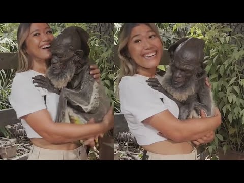 SE VOCÊ ACHAVA QUE TINHA VISTO TUDO ASSISTA ESSE VÍDEO BIZARRO VÍDEOS ASSUSTADORES #25