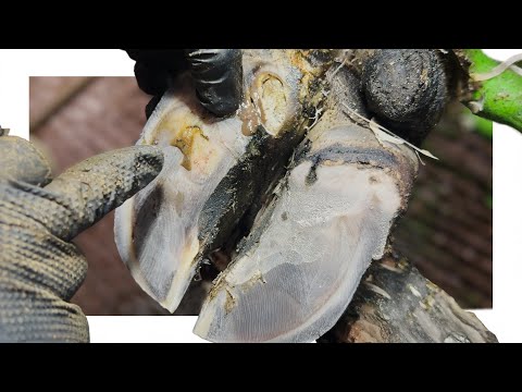 this SLUDGE goes DEEPER than we thought!