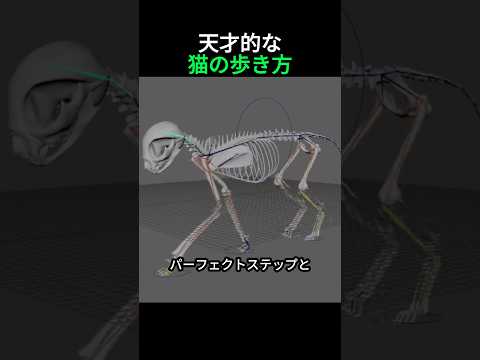 猫の歩き方がパーフェクトステップと呼ばれる理由