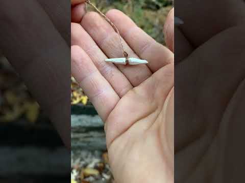 Letโs go fishing with natural materials #primitive #bushcraft #survival