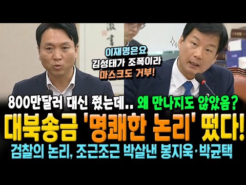 대북송금 '명쾌한 논리' 떴다! 800만달러 대신 줬는데, 왜 만나지도 않았음? 검찰의 논리 모순 박살낸 봉지욱·박균택!