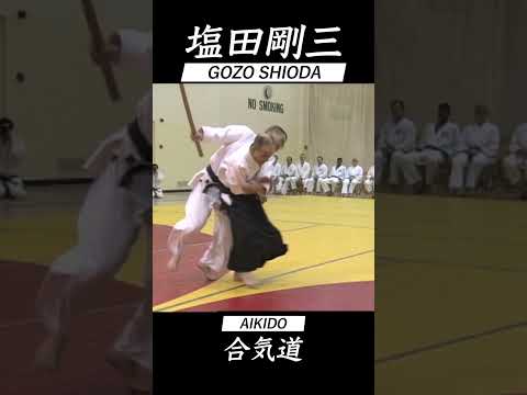 合気道 塩田剛三 セミナー vol.11 AIKIDO GOZO SHIODA Seminar 達人の技 #shorts