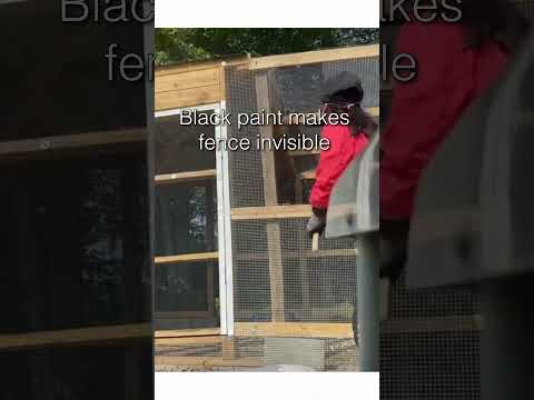 Here is why black paint makes this fence invisible…