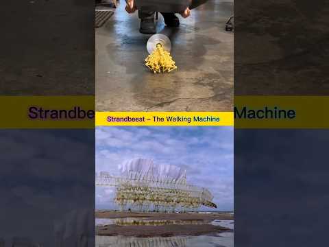 Strandbeest – The Walking Machine That Comes Alive with Wind | Theo Jansen’s Kinetic Art #theojansen