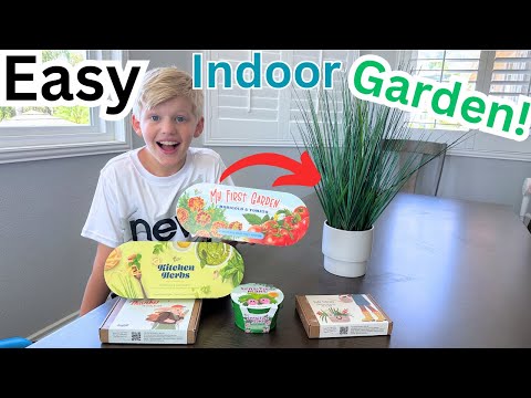 Growing my Own INDOOR Garden!  You can too!