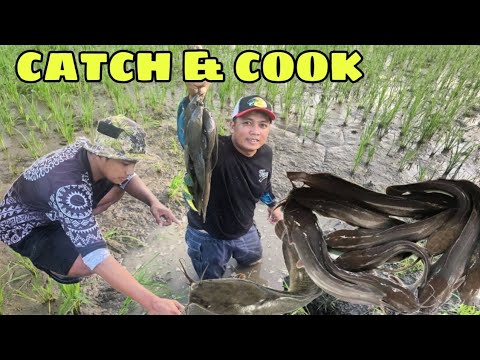 Catch & Cook jackpot kami ni utol sa huli may libre ulam na kami pati ang inay at itay