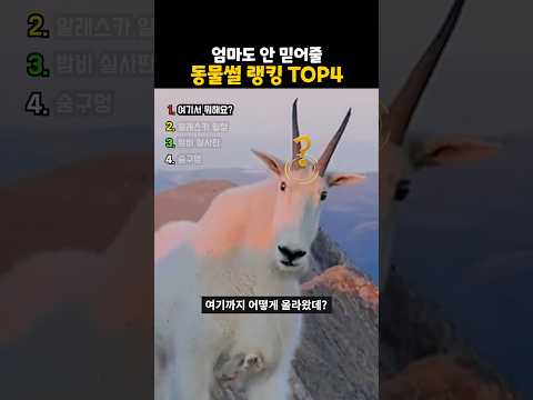 엄마도 안 믿어줄 동물썰 랭킹 top4