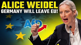 Will Germany Exit the EU Under AfD, Alice Weidel? |Dexit – Full Breakdown