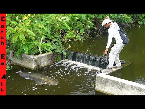BUILDING FISH Throwing SPEAR! **Legal Fishing Method**