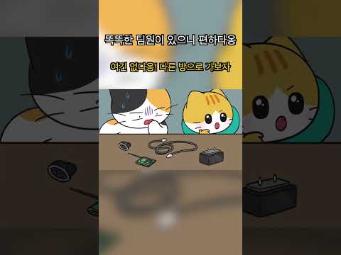 똑똑한 팀원이 있으니 편하다옹