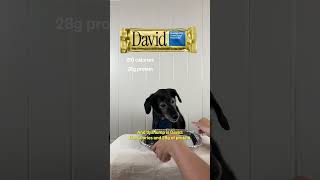 Protein bar wars, feat. an old dog