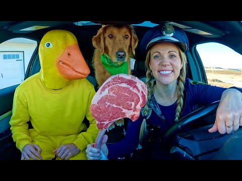 Rubber Ducky STEALS Puppy From Police in Car Ride Chase!