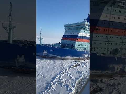 🤯Stunning Sea Views of Antarctica #seafarerlife #short#ice #russia #viralvideo #northpole
