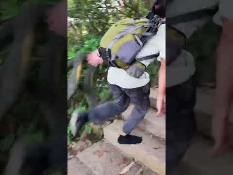 The speed and power of a fully human being climbed a Wutong Mountain for another shoe. The speed an