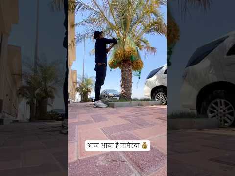 आज आया है पेमेंटवा💰#saudiarabia #driver #life #viral #shorts #youtubeshorts