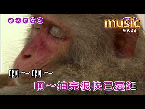 二手煙~蔡健雅KTV 伴奏 no vocal 無人聲 music 純音樂 karaoke 卡拉OK 伴唱二手煙~蔡健雅