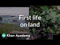 Early Life on Land: Fossils and Plants