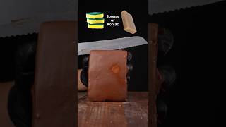 Sponge or Konjac?