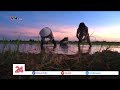 Cấy Lúa Trong Thời Tiết Nắng Nóng