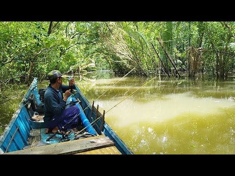 Strike bertubi-tubi didominasi ikan Kerapu