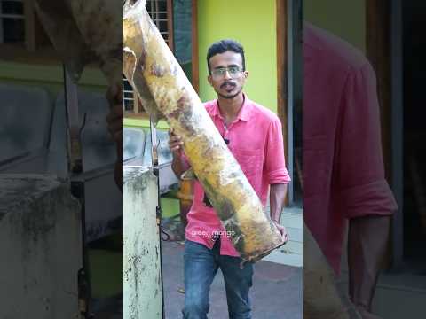 ചത്തുപോയ പോത്തിന്‍റെ തോലാണ് #mridangam #mridanga #chenda #music #musica #shots #musician #musical