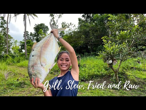 I cooked this bigfish in different dishes to fill the stomach of our rice harvester (Part1) Bohol PH