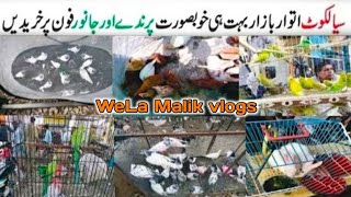 Sunday birds market Sialkot | kabutar Bazar | Sialkot Sunday Bazaar Birds and Animals Bazar Parrots