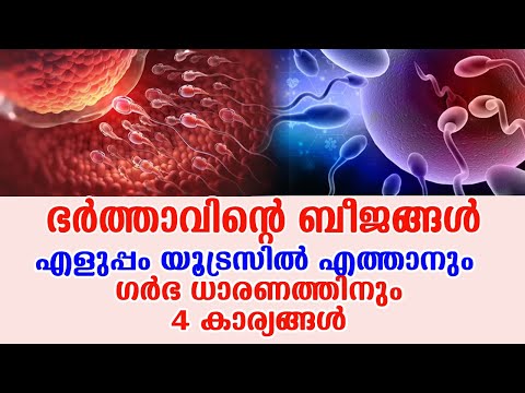 ഭര്‍ത്താവിന്റെ ബീജങ്ങള്‍ എളുപ്പം യൂട്രസില്‍ എത്താനും ഗര്‍ഭ ധാരണത്തിനും  4 കാര്യങ്ങള്‍ | Infertility