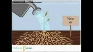 Les Brown - Growth and Patience