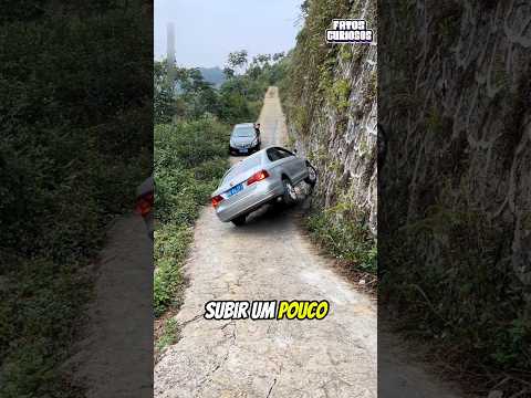 ESSE MOTORISTA MOSTROU SUA INCRÍVEL HABILIDADE AO VOLANTE