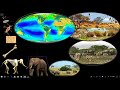 Exploring Levels of Organization in Ecology