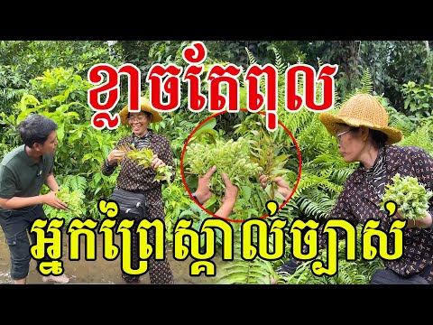ពូកែមែន​ អ្នកព្រៃស្គាល់គ្រប់មុខ​ ចេះច្បាស់មិនខ្វះរបស់ហូប