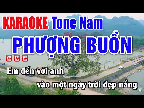 Phượng Buồn Karaoke Tone Nam Beat Chuẩn – Nhạc Sống Thanh Ngân