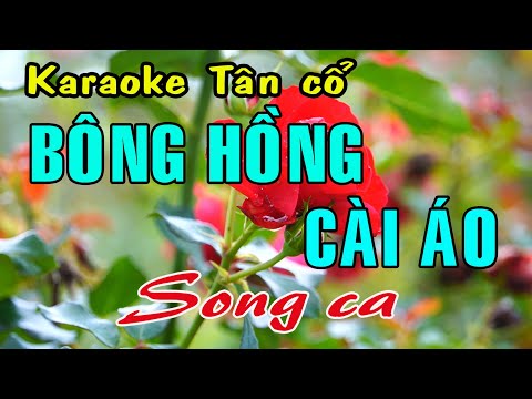 Karaoke tân cổ BÔNG HỒNG CÀI ÁO – SONG CA [Thanh Tuấn – Mỹ Châu]