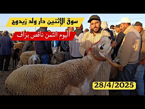 مباشرة من سوق الإثنين دار ولد زيدوح الحولي والحولية والنعجة تاريخ 28/4/2025 مع الأثمنة وشكرا 🐑🐏
