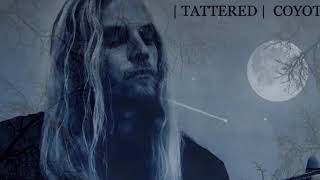TATTERED COYOTE-BLUE MOON (ELVIS PRESLEY COVER)