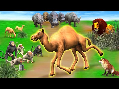 पाँच पैर वाली ऊंट और शेर Panch Paer Wali Unt aur Sher Ki Kahani 5 Leg Camel and Lion Moral Stories