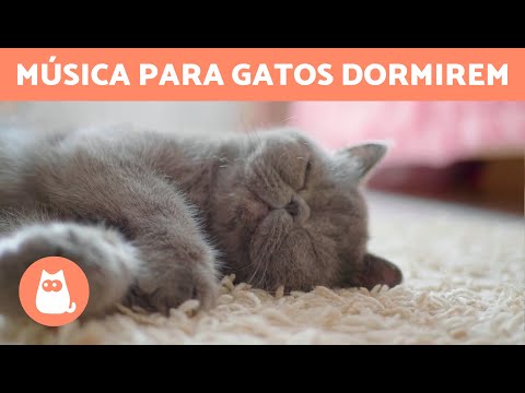 MÚSICA PARA GATOS DORMIREM 🐱💤 (Bebês e Adultos)
