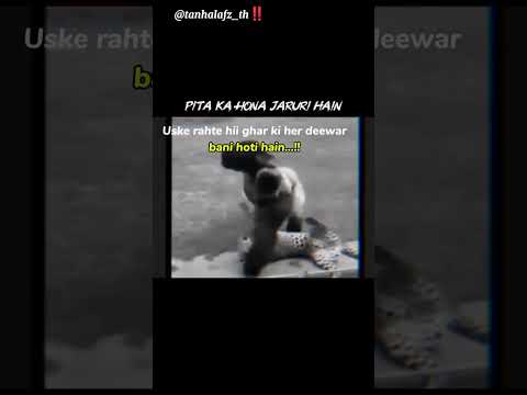 पिता का होना बहुत जरूरी हैं #animalshorts #animallove #shortsfeed #shorts #trendingshort