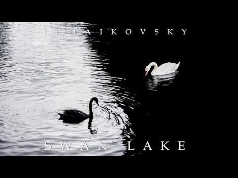 Swan Lake - Tchaikovsky : A Classical Masterpiece - The Pride of Russian