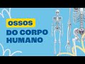 Anatomia dos Ossos e Funções