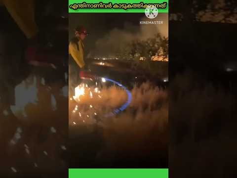 ഇതു നിങ്ങൾക്കറിയാമോ 😳🥵#shortsfeed #india #share #viralshort #viralvideo #video #subscribe #facts