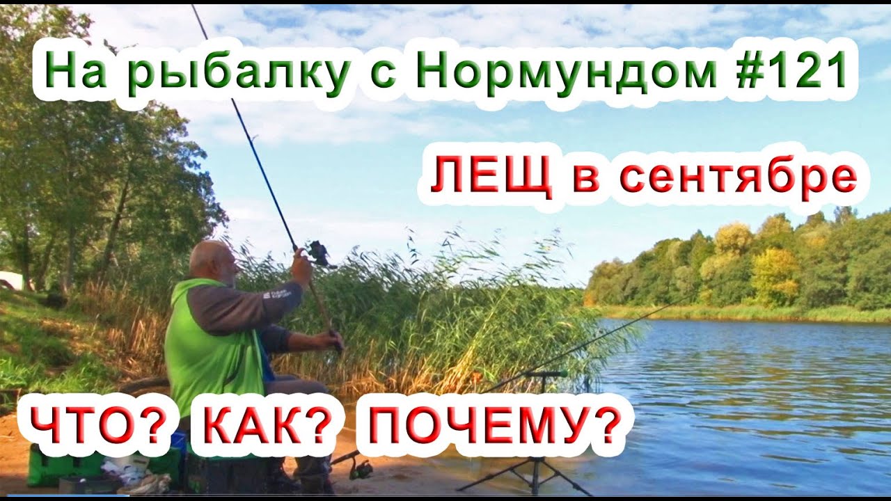 ЛЕЩ в сентябре. ЧТО? КАК? ПОЧЕМУ? На рыбалку с Нормундом #121
