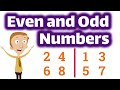 Exploring Even and Odd Numbers for Kids
