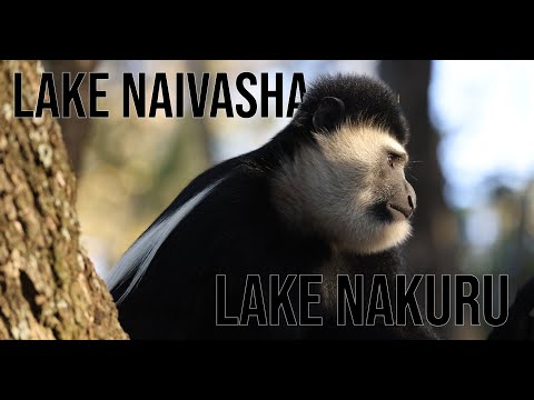 Lake Naivasha and Lake Nakuru Kenya Africa Canon R5