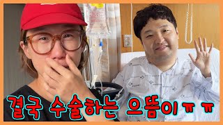 결국 입원했습니다...으뜸이 수술해야 한대요ㅜㅜㅜㅜㅜ