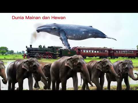 Kereta api membawa dinosaurus dan ikan paus, #dino #keretaapi #kereta #duniahewan