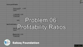 Problem 06: Profitability Ratios